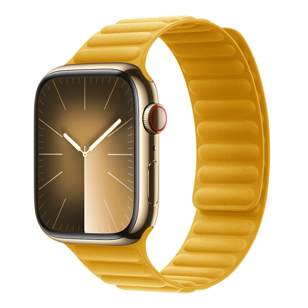 Magnetic Fine Loop
