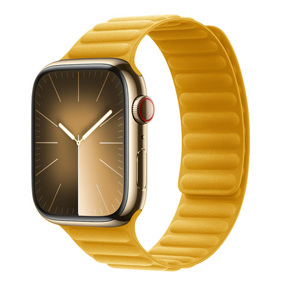 Magnetic Fine Loop